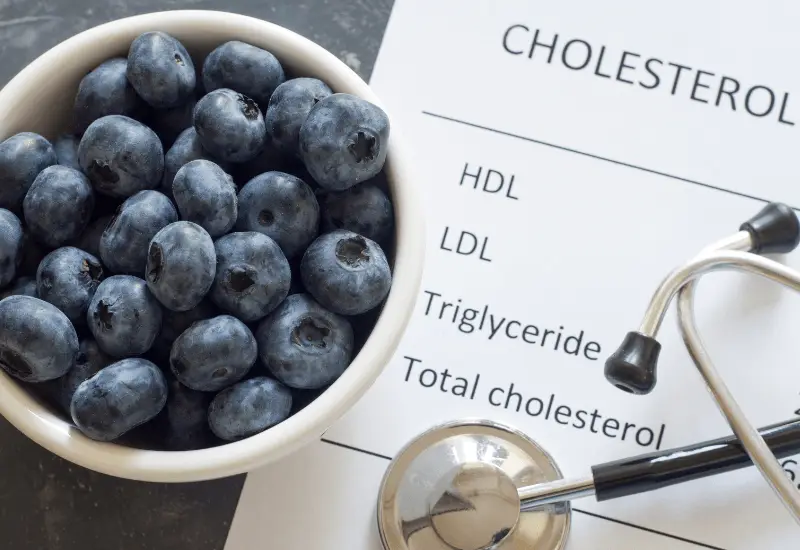 Could probiotics help lower your cholesterol?